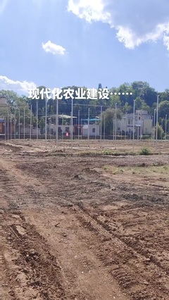 鼎尚銘 專注網(wǎng)絡(luò)技術(shù)開發(fā)，賦能數(shù)字化未來(lái)